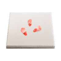 Chicken Knee Cartilage